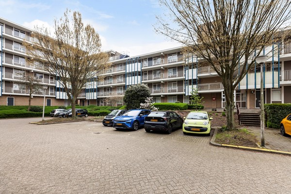 Zadkinerade 17_38.jpg